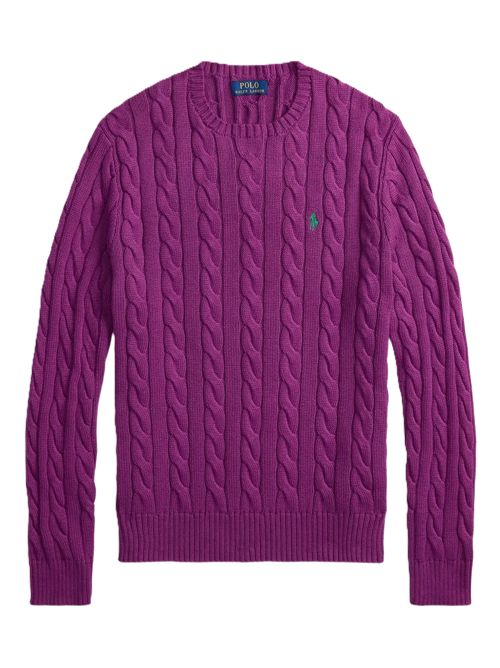 Polo Ralph LaurenMaglione con ricamo Polo Ralph Lauren | 710-775885-539PURPLE DAWN